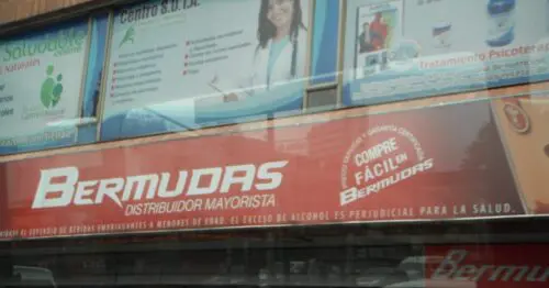 BERMUDAS CHAPINERO SA BERMUDAS CHAPINERO SA